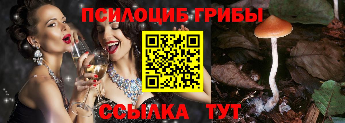 Галлюциногенные грибы Psilocybe  Вход с VPN  Белореченск 